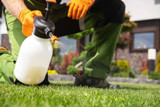 Pest Control Cost in River Edge, NJ