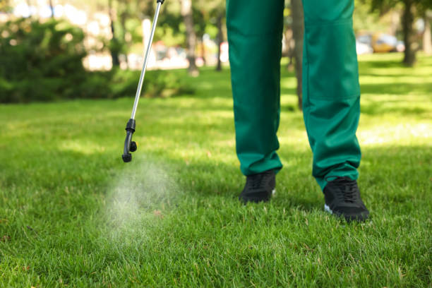 Best Bed Bug Extermination  in River Edge, NJ
