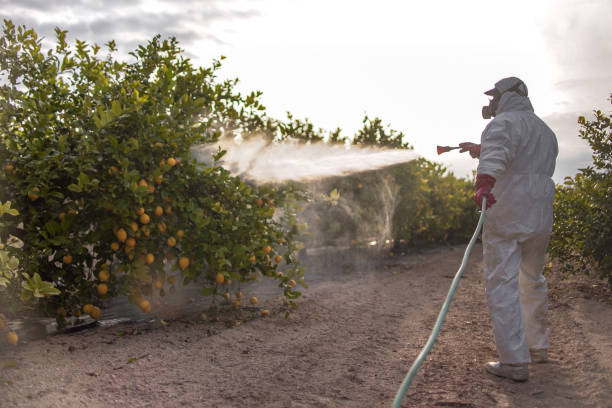 Best Pest Removal Services  in River Edge, NJ