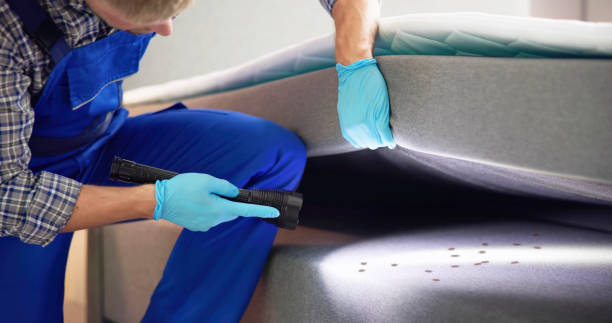 Best Rat Extermination Near Me  in River Edge, NJ