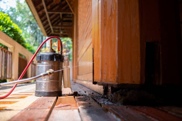 Best Termite Control Services  in River Edge, NJ