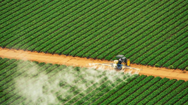 Best Mosquito Control Services  in River Edge, NJ