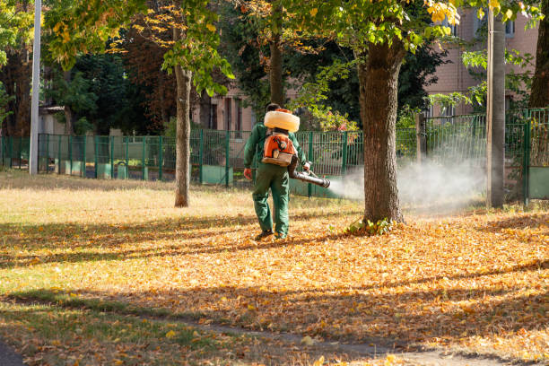 Best Best Pest Control Companies  in River Edge, NJ