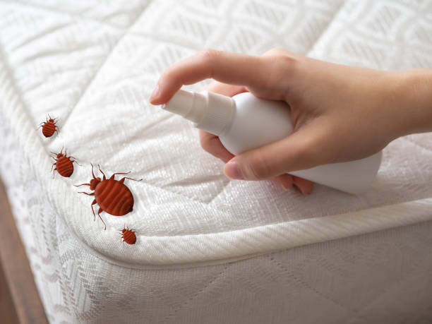 Best Insect Control  in River Edge, NJ