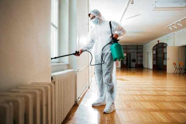 Best Pest Control Near Me in River Edge, NJ
