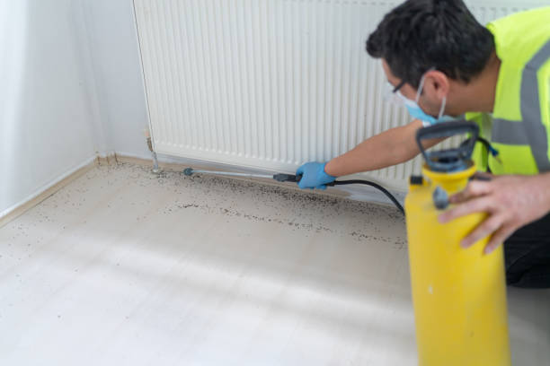 Best Exterminator Services  in River Edge, NJ