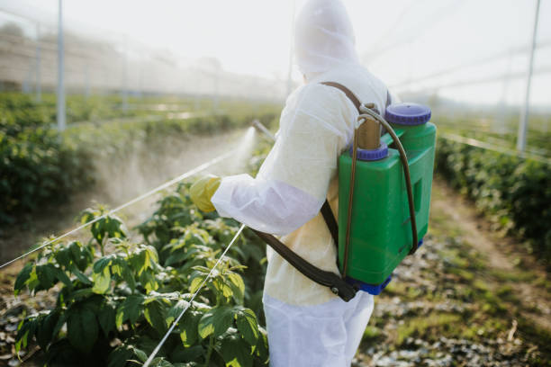 Best Affordable Pest Control Services  in River Edge, NJ